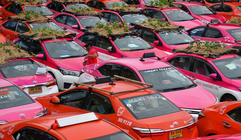 Green-thumbed Thai cabbies turn taxis into gardens